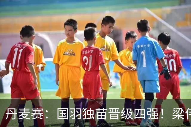 丹麦赛：国羽独苗晋级四强！梁伟铿/王昶2-1逆转前世界第1