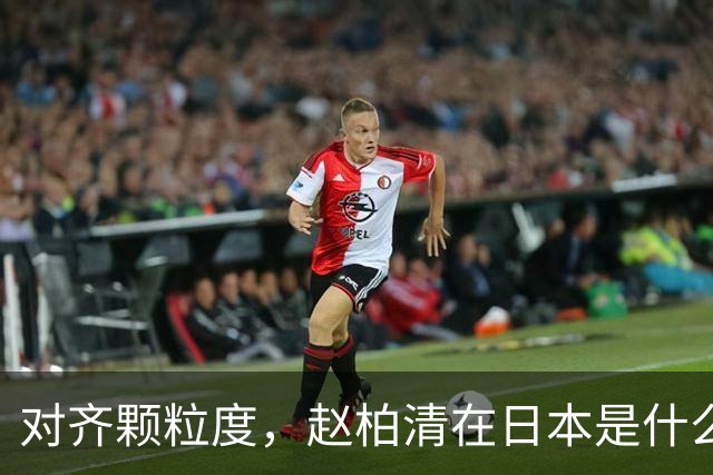 对齐颗粒度，赵柏清在日本是什么水平？