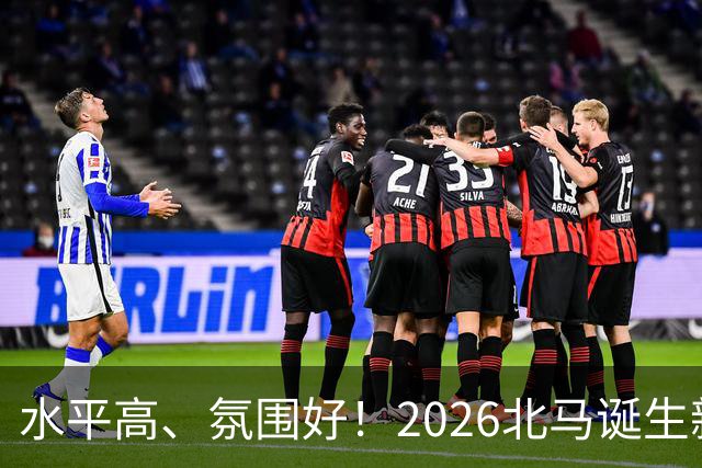 水平高、氛围好！2026北马诞生新纪录，赛事组织获选手认可