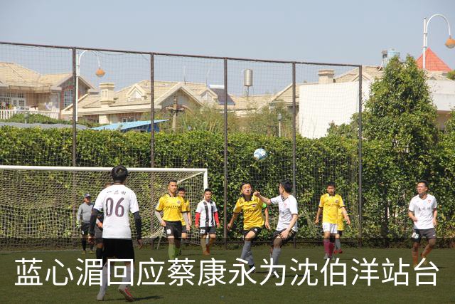 蓝心湄回应蔡康永为沈伯洋站台