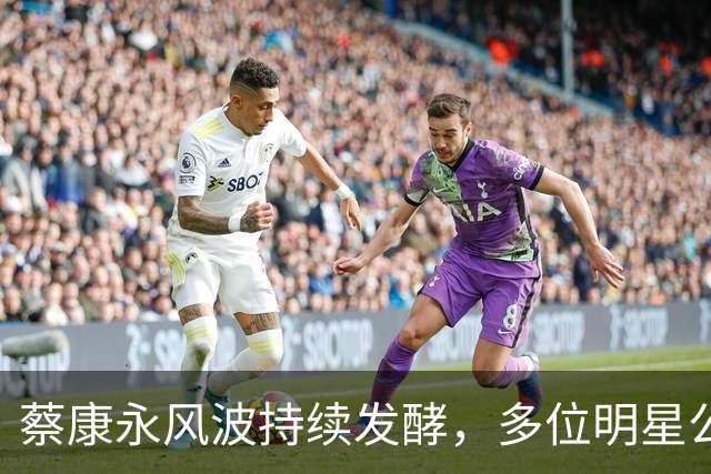 蔡康永风波持续发酵，多位明星公开发声力挺，罗永浩一举动惹众怒