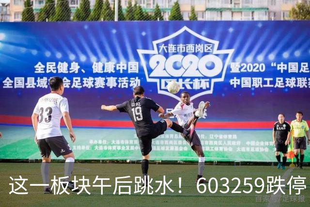 这一板块午后跳水！603259跌停！