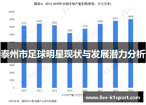 泰州市足球明星现状与发展潜力分析