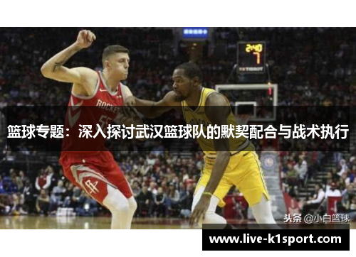 篮球专题：深入探讨武汉篮球队的默契配合与战术执行